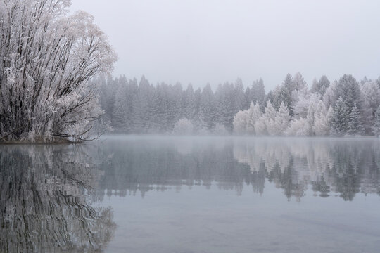 Snowy lakeside forest reflections over calm winter lake surrounded by frost covered trees and misty horizon in quiet monochrome landscape, with winter, lake, snow, frost detail
