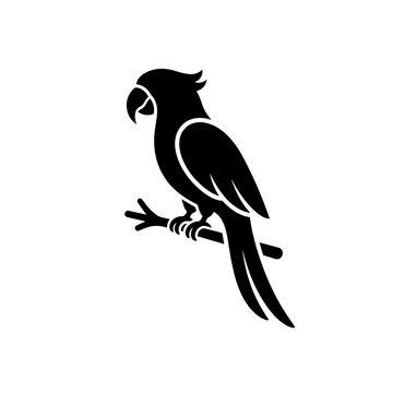 Parrot silhouette perched on branch isolated on transparent background for design.
