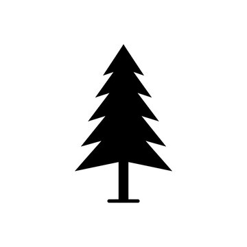 Black pine tree silhouette, isolated graphic icon for nature.