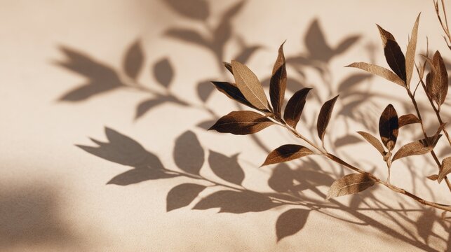 Summer time. Green palm leaves casting intricate shadows on a textured wall, showcasing natural light and organic shapes in a serene indoor setting. summer shadow concept