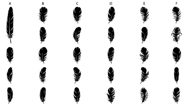 Black feather silhouettes grid set with simple line art design featuring simple design, minimalist, black and white with illustrations and graphics