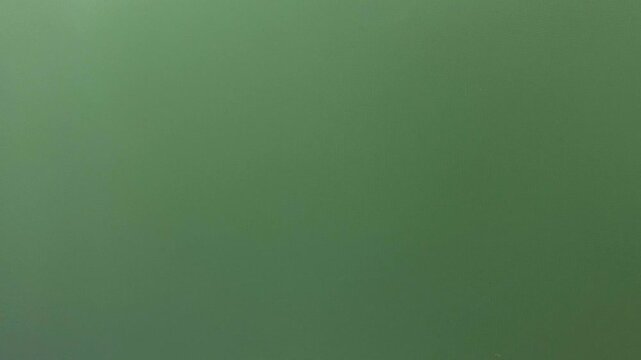 Cockroach Creeping On The Wall With Green Background. - closeup shot