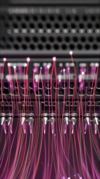 Abstract Digital Server Rack with Flowing Pink Data Cables and Glowing Optical Fiber Connections for Network Concepts