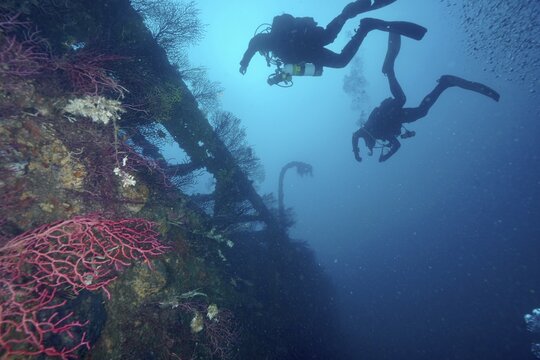 Two divers explore an overgrown shipwreck in deep blue water. Dive site wreck Le Donator, Giens peninsula, Mediterranean Sea, Provence Alpes C&ocirc;te d'Azur, France