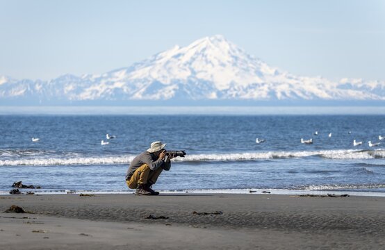 Nature photographer photographs birds on the beach, with white mountain peaks of Mount Redoubt in the background, mountains of the Aleutian range, Anchor Point, Anchor River State Recreation Area, Alaska, USA