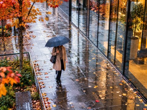 Paseo bajo la lluvia en oto&ntilde;o con hojas ca&iacute;das y edificios de cristal