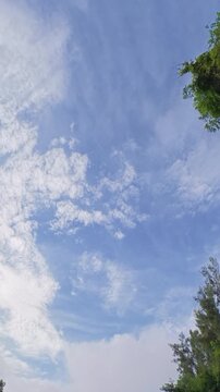 Delicate clouds moving across a blue sky, framed by lush tropical tree foliage, creating a peaceful natural background.