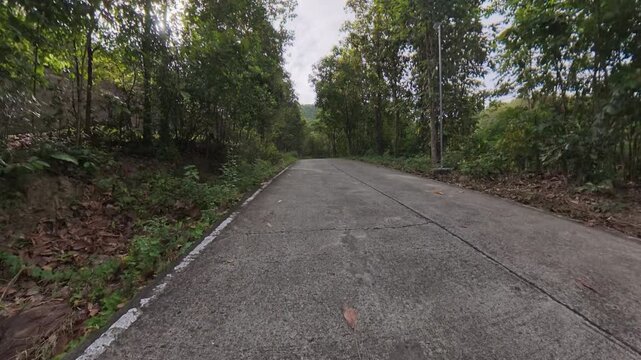 Scenic concrete road winding through dense tropical forest, surrounded by lush green vegetation and trees in a peaceful natural environment.