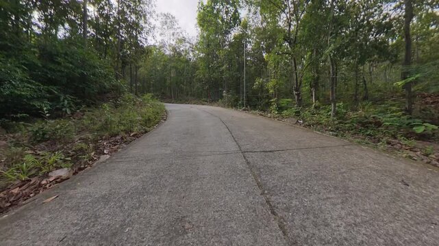 POV cycling along a quiet concrete road through dense tropical forest, surrounded by tall trees, lush vegetation and a peaceful natural environment.