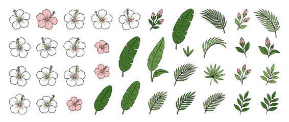 Obraz premium Tropical Flowers and Leaves Illustration Collection Isolated
