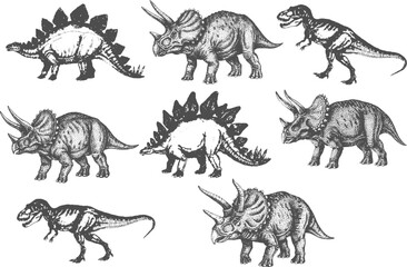 Vintage Dinosaur Bundle Illustration featuring Stegosaurus, Triceratops and Tyrannosaurus Rex, Hand-Drawn Detailed Engraving, Monochrome Black-and-White Vector Collection. © JIBON