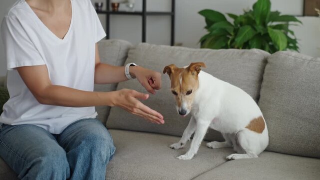 Woman hiding treats in hands while playing with dog