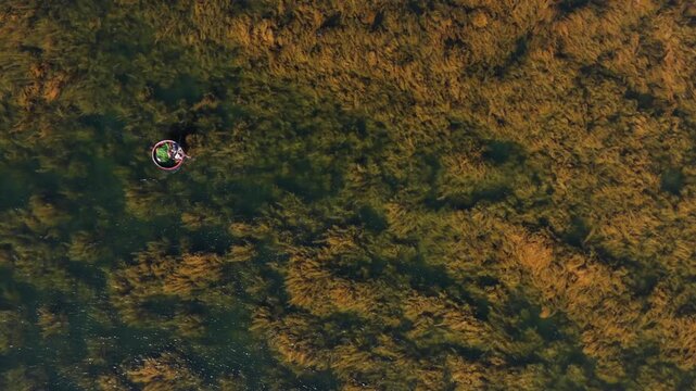 Aerial view of a fisherman on a basket boat amid golden seaweed beds in Hon Kho island near Nhon Hai fishing village, Quy Nhon City, Binh Dinh Province, Vietnam.