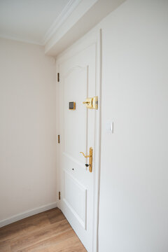 Modern apartment entry door with gold security lock