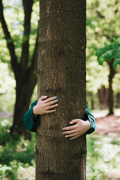 Woman hugging A tree in A sunlit forest