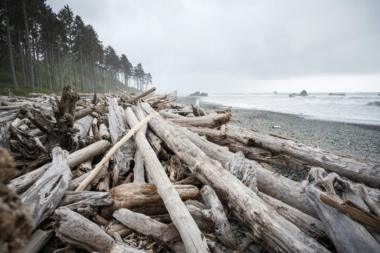 Dramatic coastline at Ruby Beach in the Olympic National Park.  Washington State, USA.
