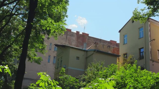 Old residential buildings framed by lush trees in sunny Eastern European neighborhood in Sanok, Poland.
