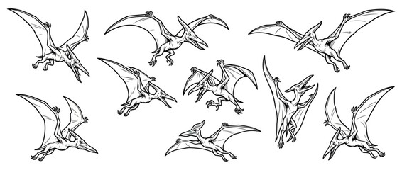 Collection of flying ancient reptile illustrations on transparent background © nadinsahira