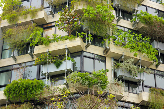 Green eco architecture abstract background, modern residential building facade with tropical plants and trees growing on concrete balconies and terraces