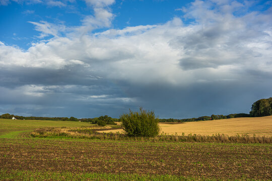 Dramatic Storm Clouds Over Golden Harvest Fields