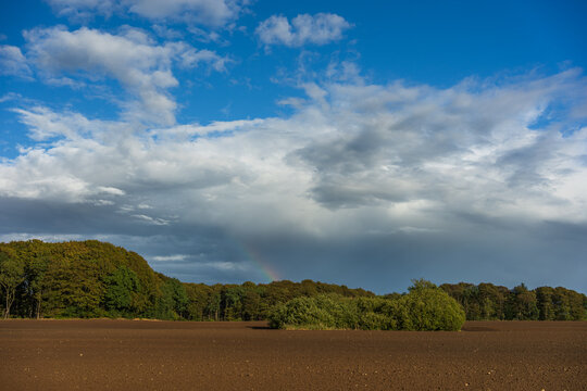 Faint Rainbow Over Ploughed Field and Autumn Forest