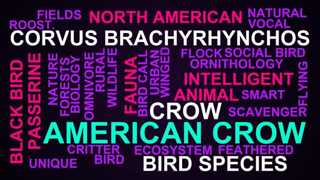 American Crow Word Cloud