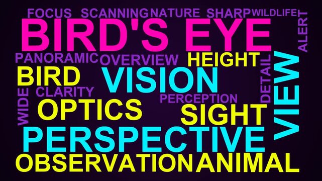 Bird'S Eye Word Cloud