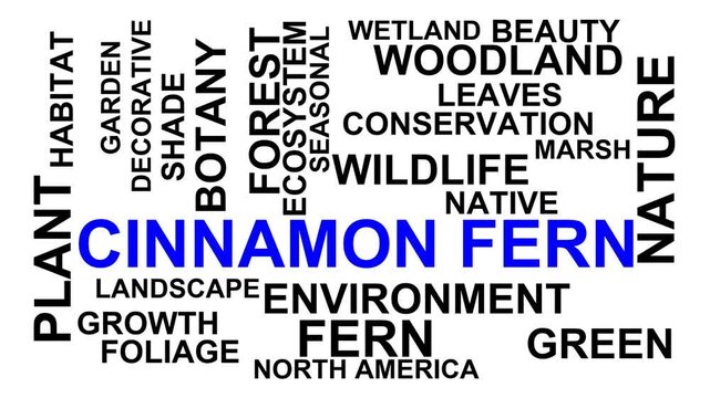 Cinnamon Fern Word Cloud
