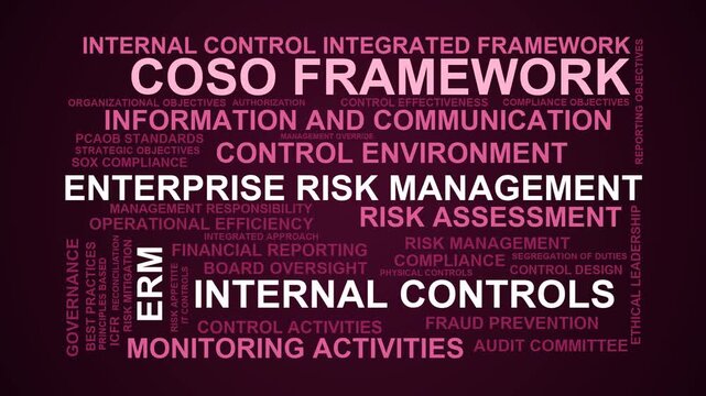 Coso Framework Word Cloud