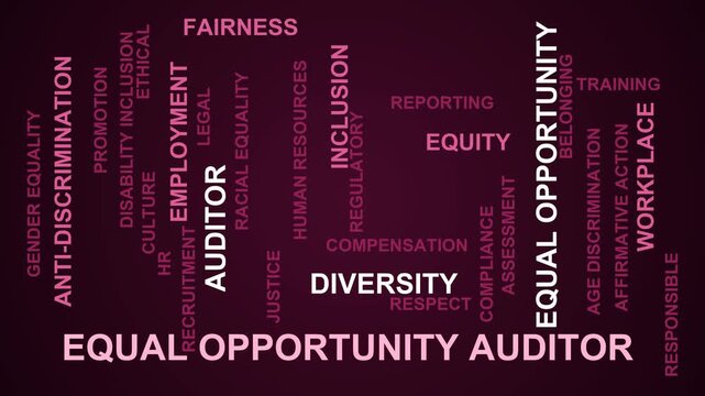 Equal Opportunity Auditor Word Cloud