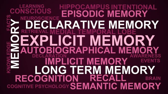 Explicit Memory Word Cloud