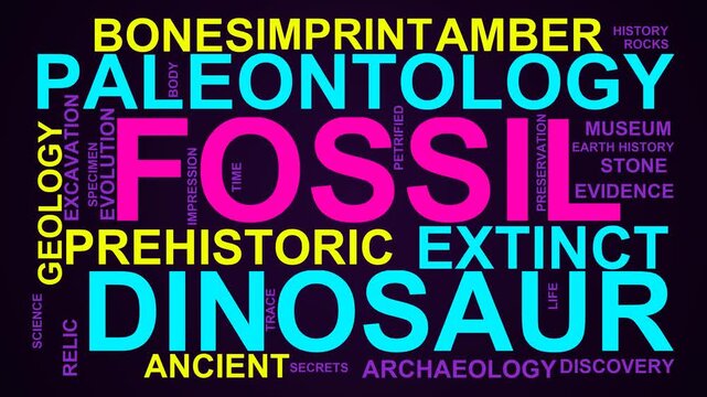 Fossil Word Cloud