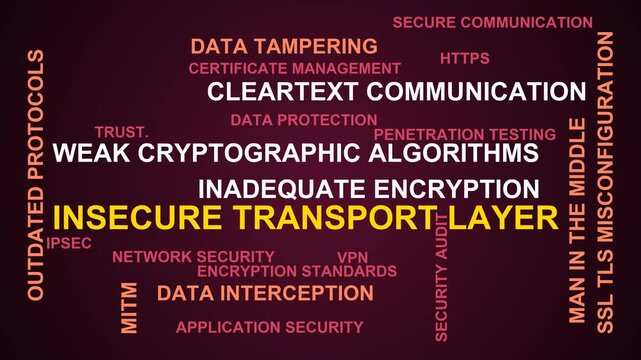 Insecure Transport Layer Word Cloud