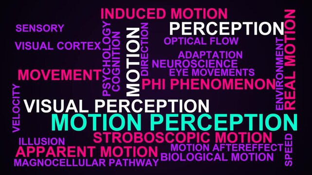 Motion Perception Word Cloud