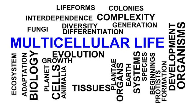 Multicellular Life Word Cloud