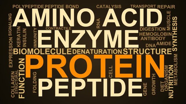Protein Word Cloud