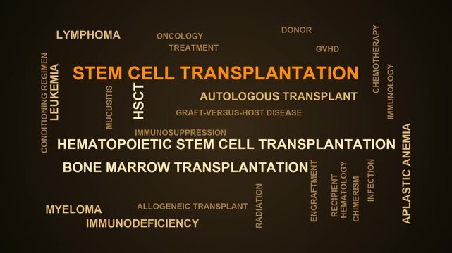 Stem Cell Transplantation Word Cloud