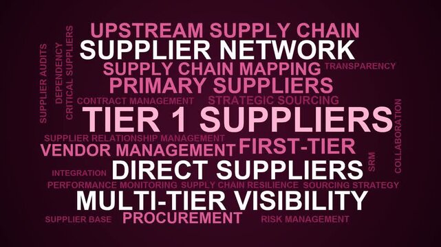 Tier 1 Suppliers Word Cloud