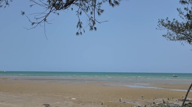A serene tropical coastline features golden sand beaches meeting calm turquoise ocean waters under a vast sunny sky framing hanging tree branches naturally capturing a peaceful coastal landscape