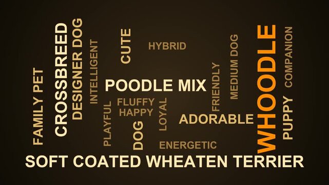 Whoodle Word Cloud