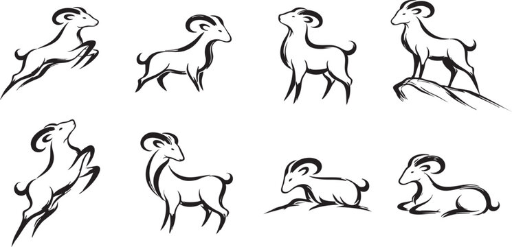 Set of Eight Black and White Ram Illustrations in Dynamic and Resting Poses