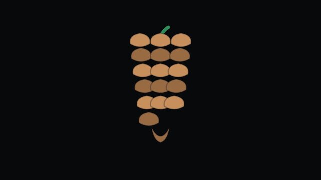 Pine cone Christmas holiday animated icon element, seamless loop motion graphic, ideal for festive video overlays and titles.