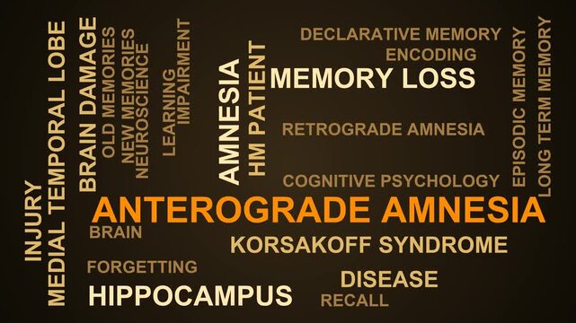 Anterograde Amnesia Word Cloud