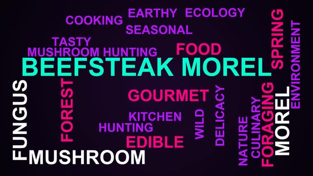 Beefsteak Morel Word Cloud