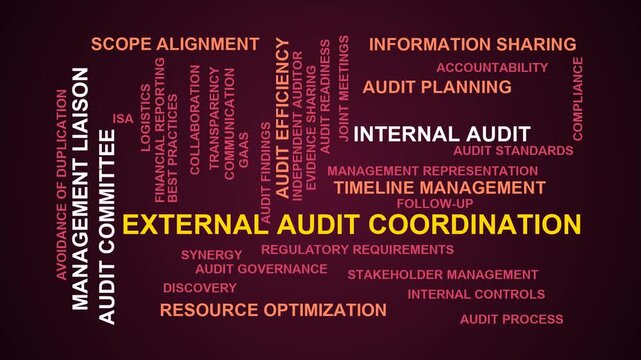 External Audit Coordination Word Cloud