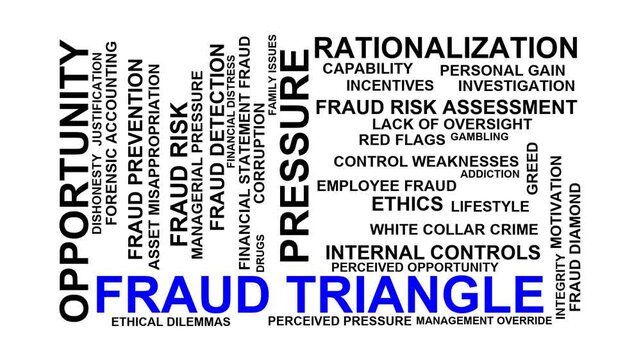 Fraud Triangle Word Cloud
