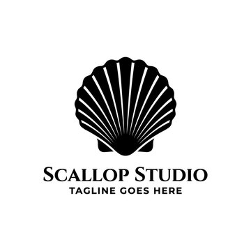 Clean fluted shell icon symbolizing the ocean, beauty, and natural architecture.