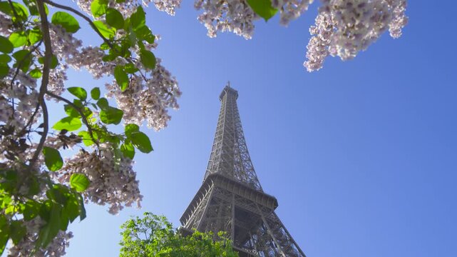 Eiffel Tower. Beautiful tower in the morning