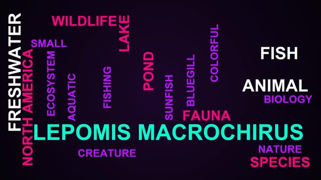 Lepomis Macrochirus Word Cloud
