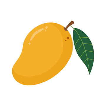 Fresh ripe yellow mango fruit with green leaf